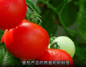 番茄酱颜色测量 - 三恩时分光测色仪推荐
