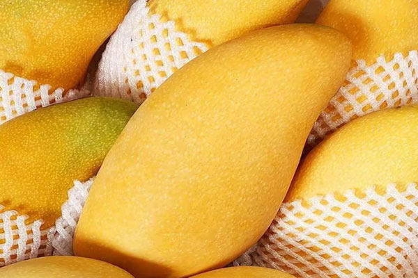 便携式分光测色仪用于芒果果皮颜色分析