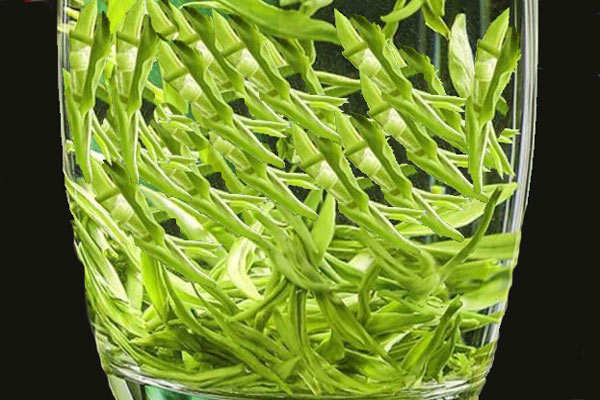 透射式分光测色仪用于茶叶色泽检测与分类